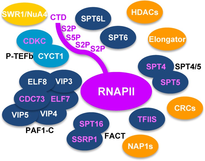 Figure 2.