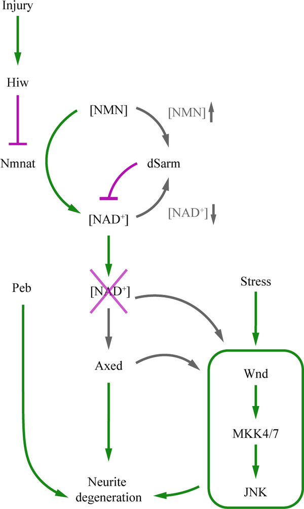 Fig. 2: