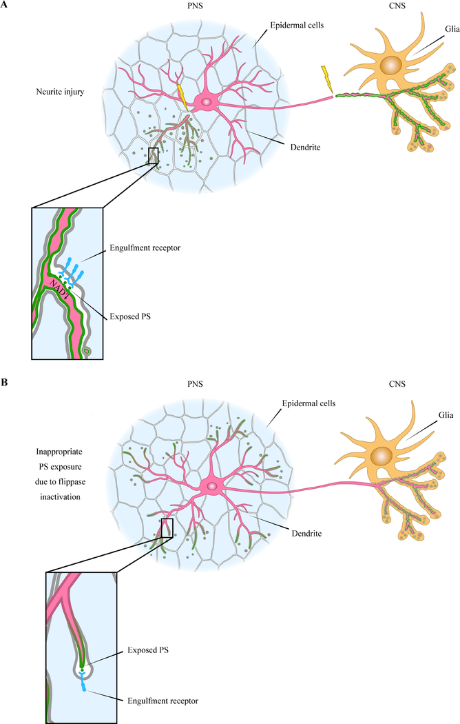 Fig. 3: