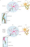 Fig. 3: