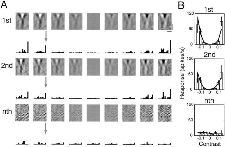 Fig. 5.