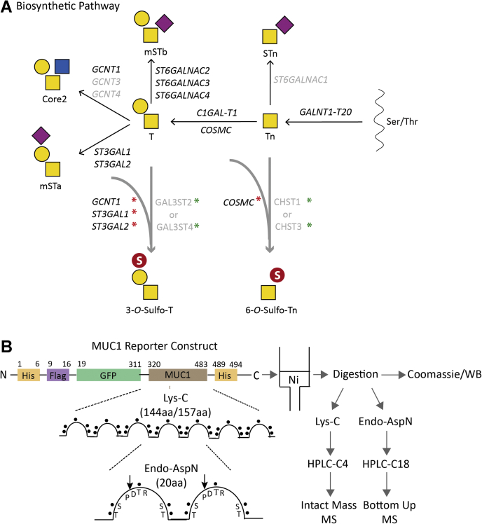 Figure 1