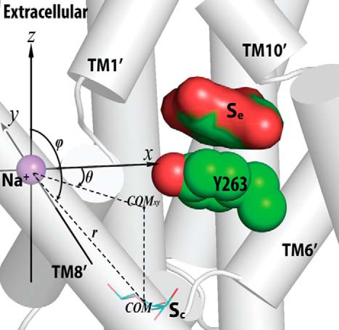 FIGURE 3.