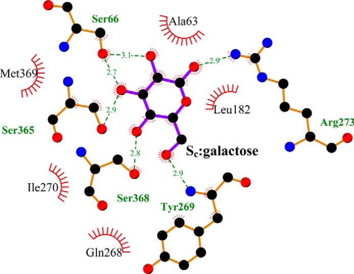 FIGURE 5.