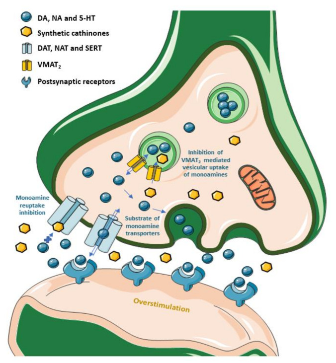 Figure 11