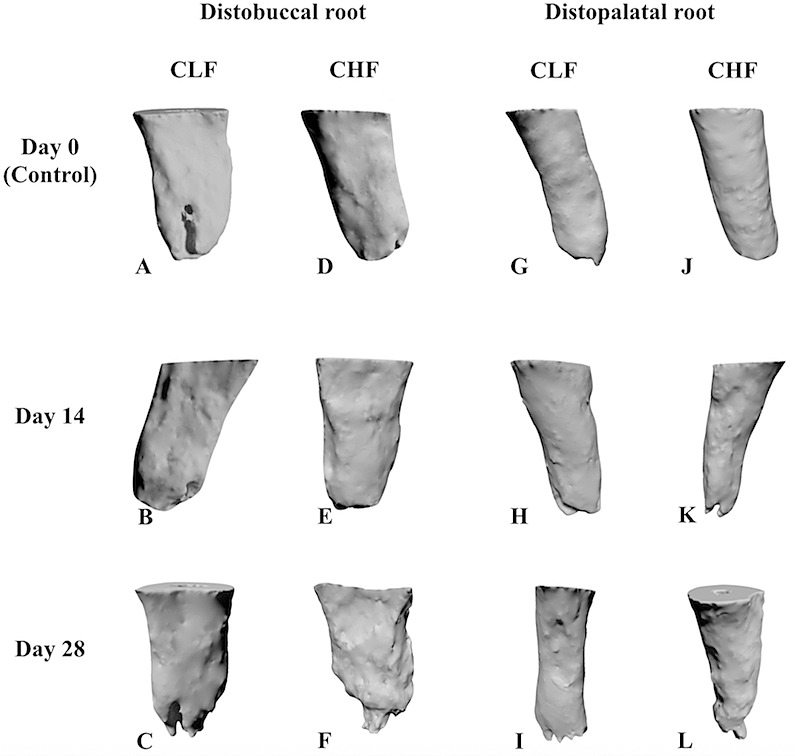 Figure 7.