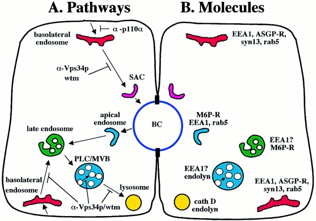 Figure 10.