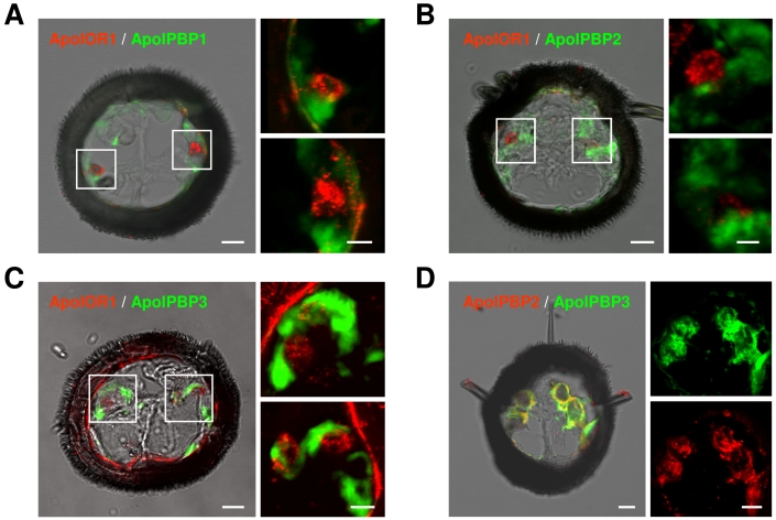 Fig 4