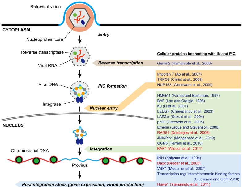 FIGURE 2