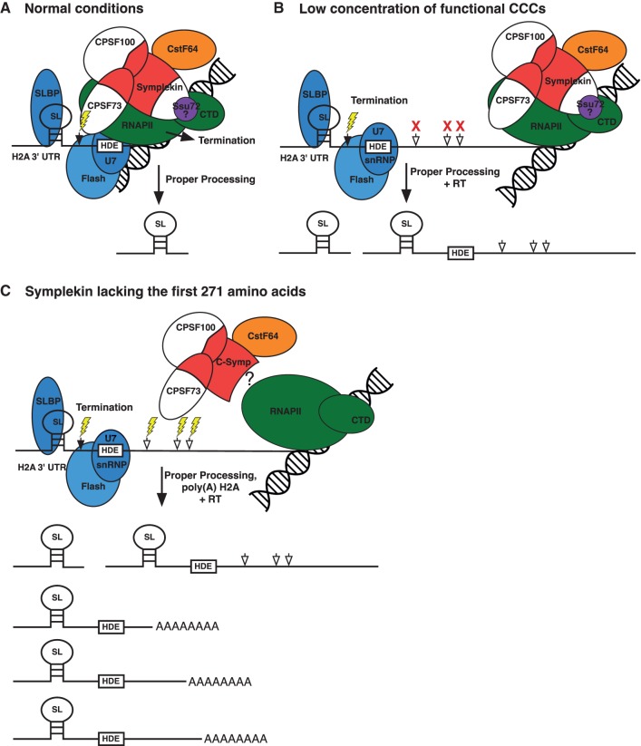 FIGURE 6.