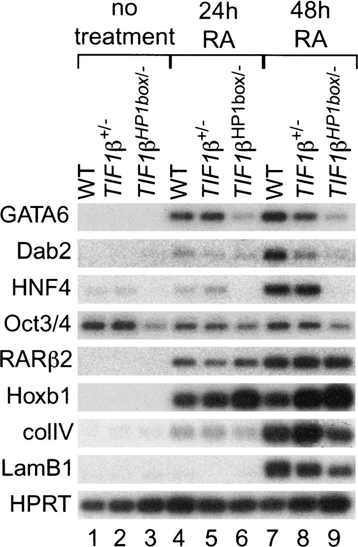 Figure 7.