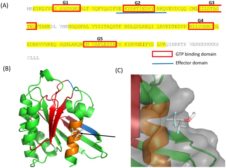 Fig 5