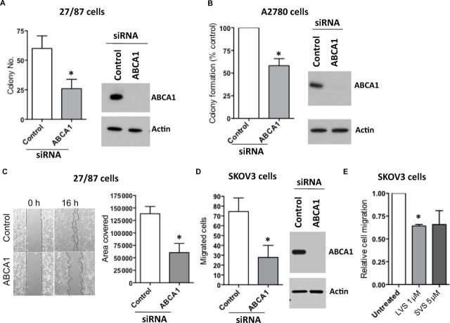 ABCA Transporter Gene Expression and Poor Outcome in Epithelial Ovarian ...