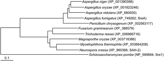 Fig. 7