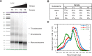 Figure 2—figure supplement 1.