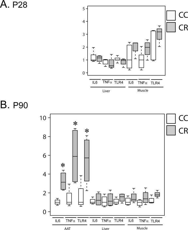 Fig 5