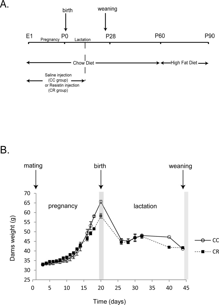 Fig 1