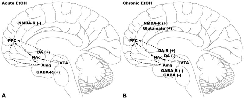 Fig. 6.3