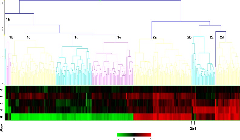 Fig 1