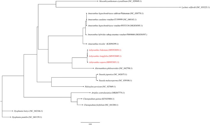 Figure 6