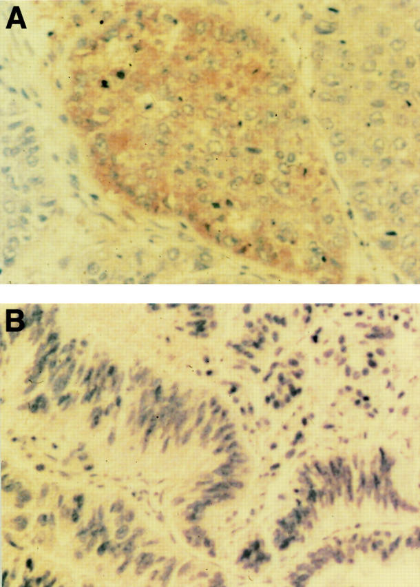 Figure 1  