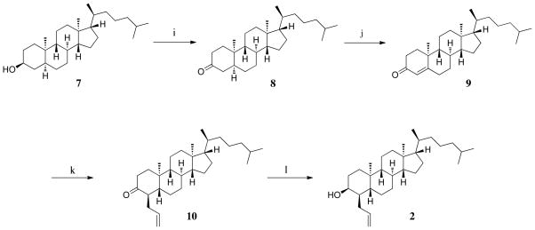 Scheme 2