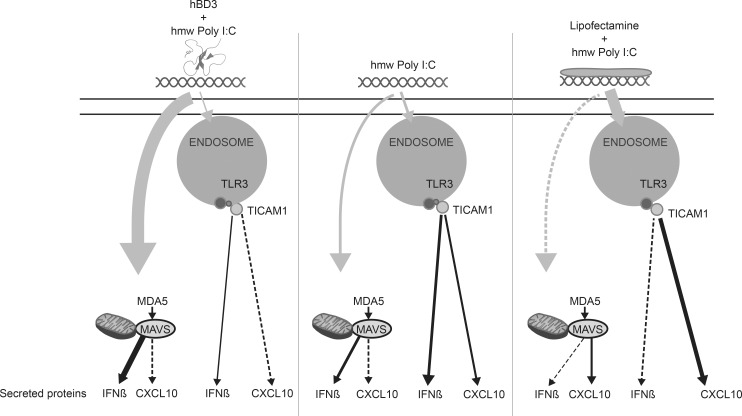 Fig 8