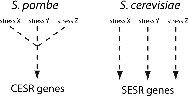 Scheme 1.