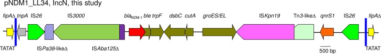 FIG 3