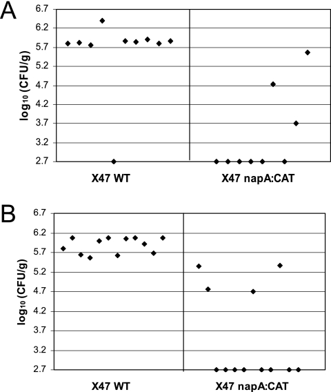 FIG. 5.