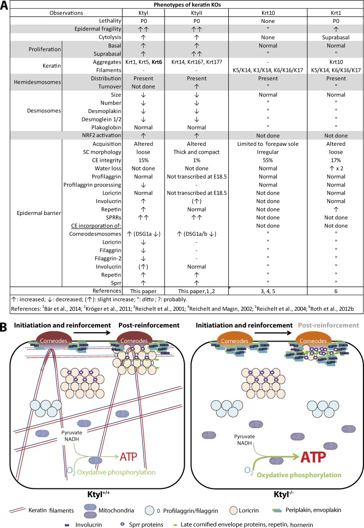 Figure 10.