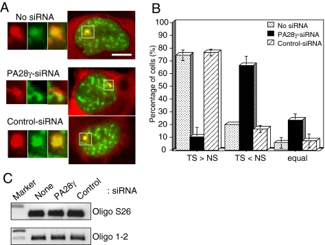 Figure 11.