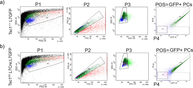 Figure 1—figure supplement 1.