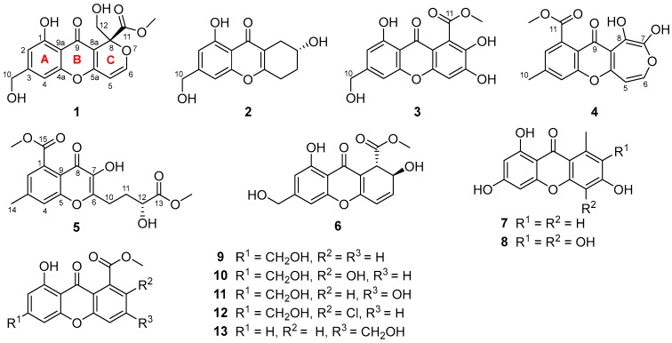 Figure 1