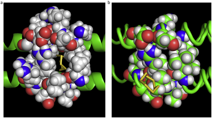 Fig. 7