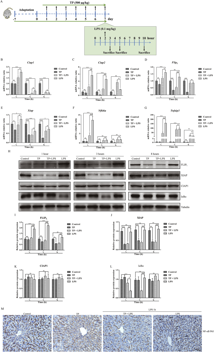 Figure 4