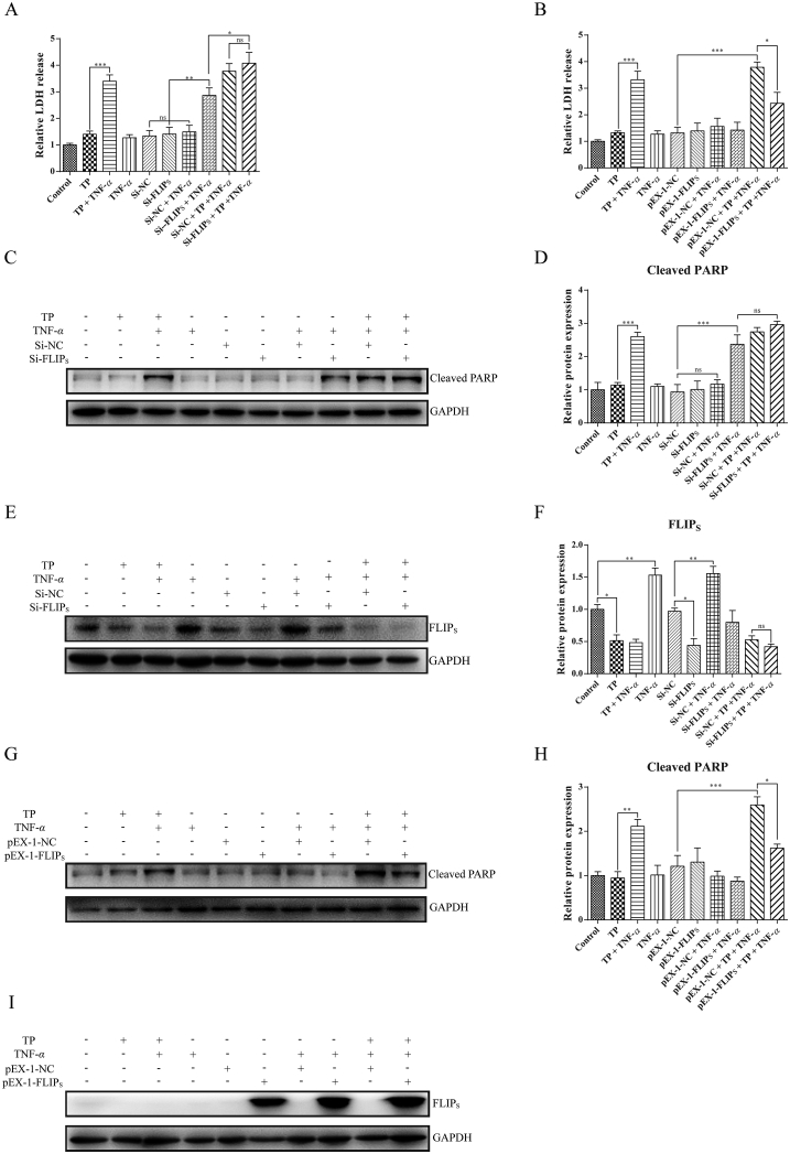 Figure 6