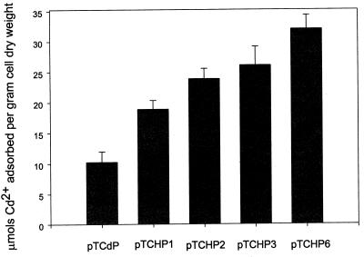 FIG. 5