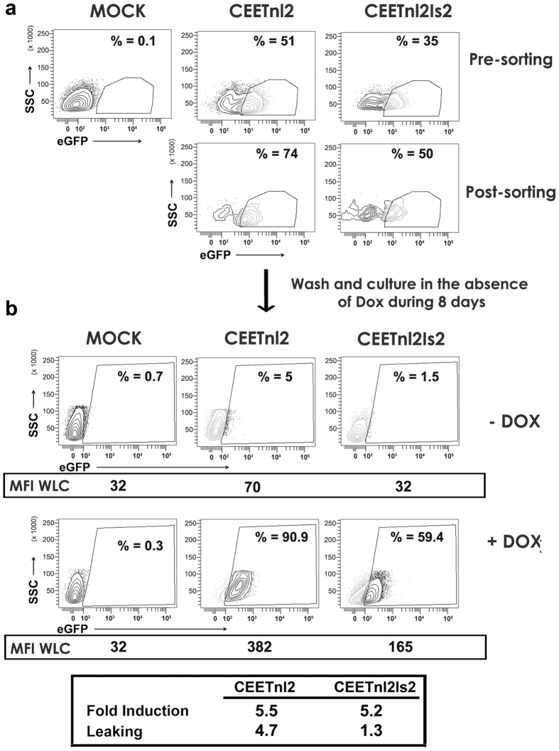 Figure 5