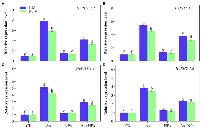 Figure 7