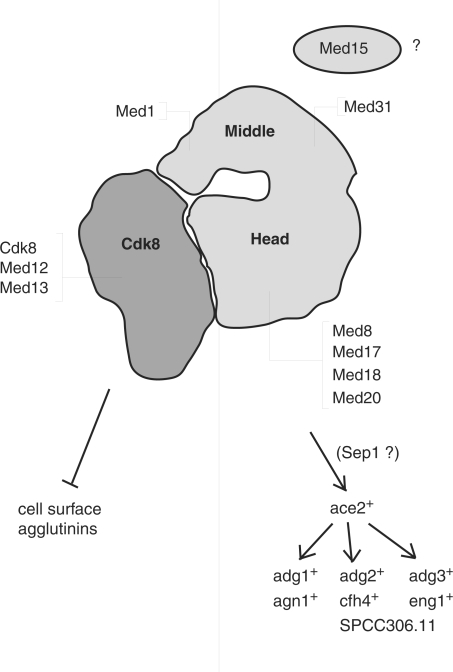 Figure 7.