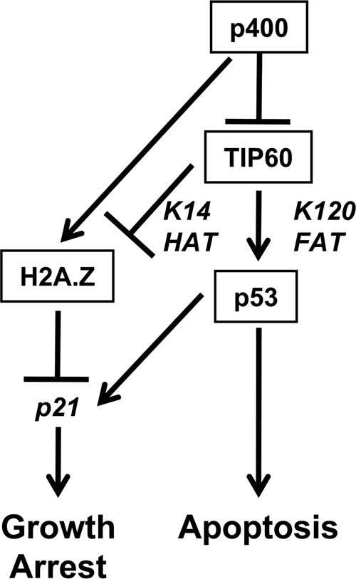 FIG. 7.