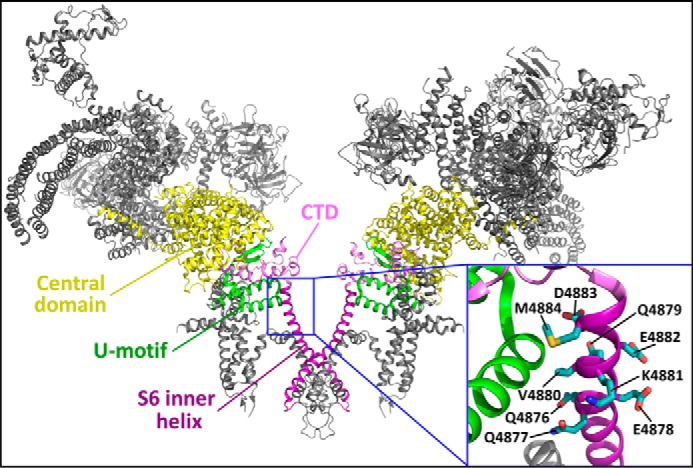 FIGURE 1.