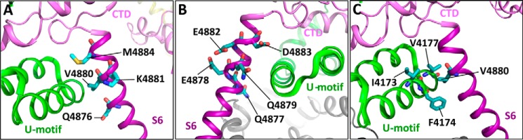 FIGURE 10.