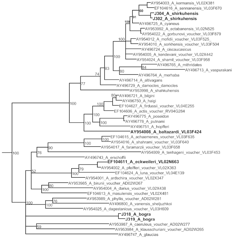 Figure 1.