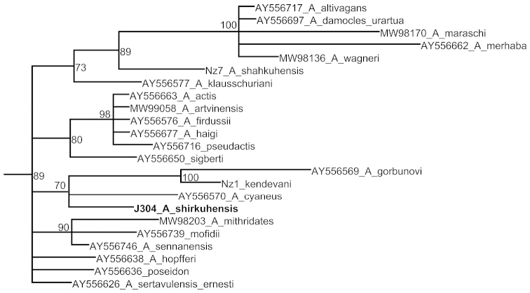 Figure 2.