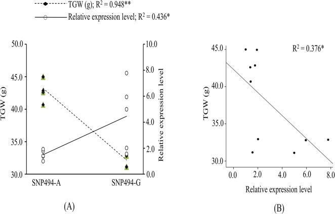 Fig 5