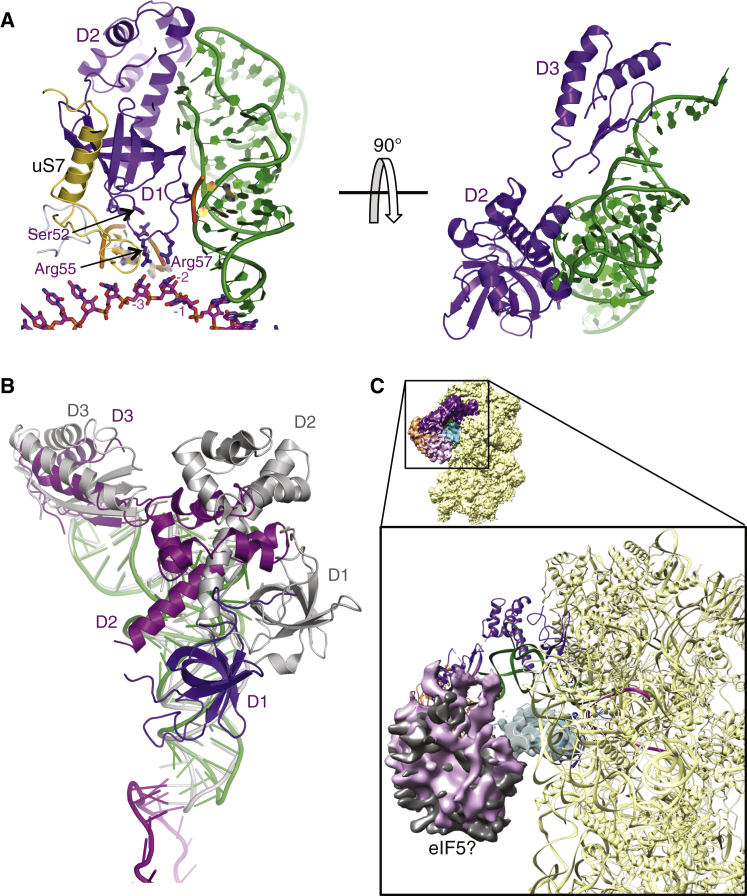 Figure 6