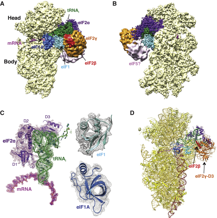 Figure 1