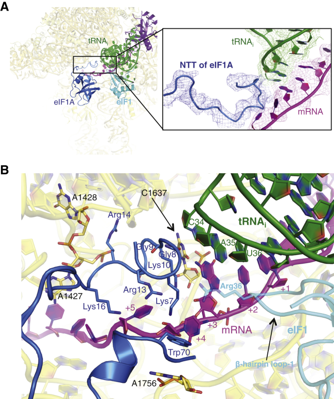 Figure 4